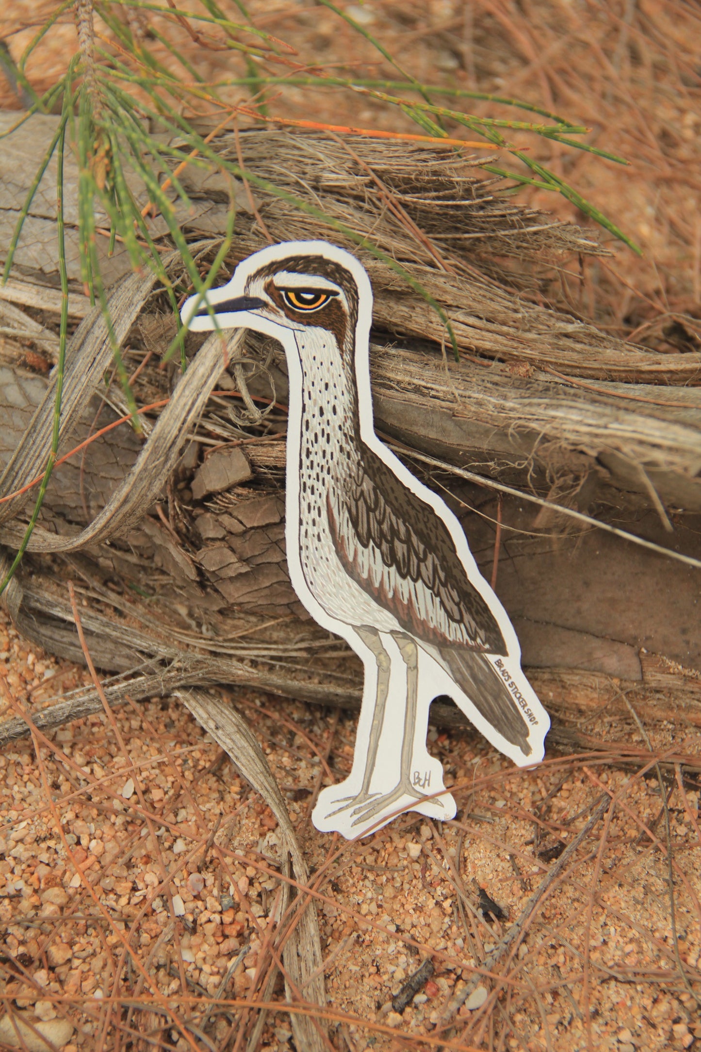 (Sticker 013) Curlew