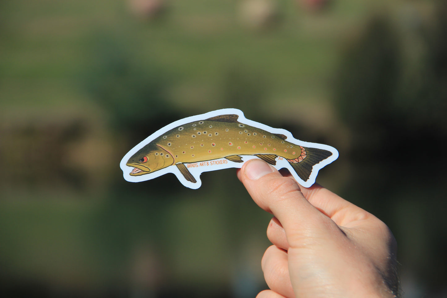 (Sticker 024) Brown Trout