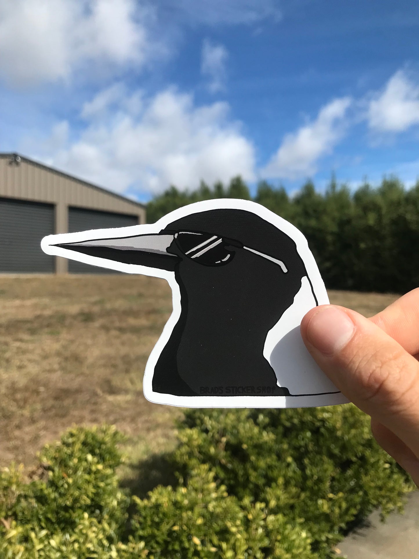 (Sticker 008) Swoopen Magpie
