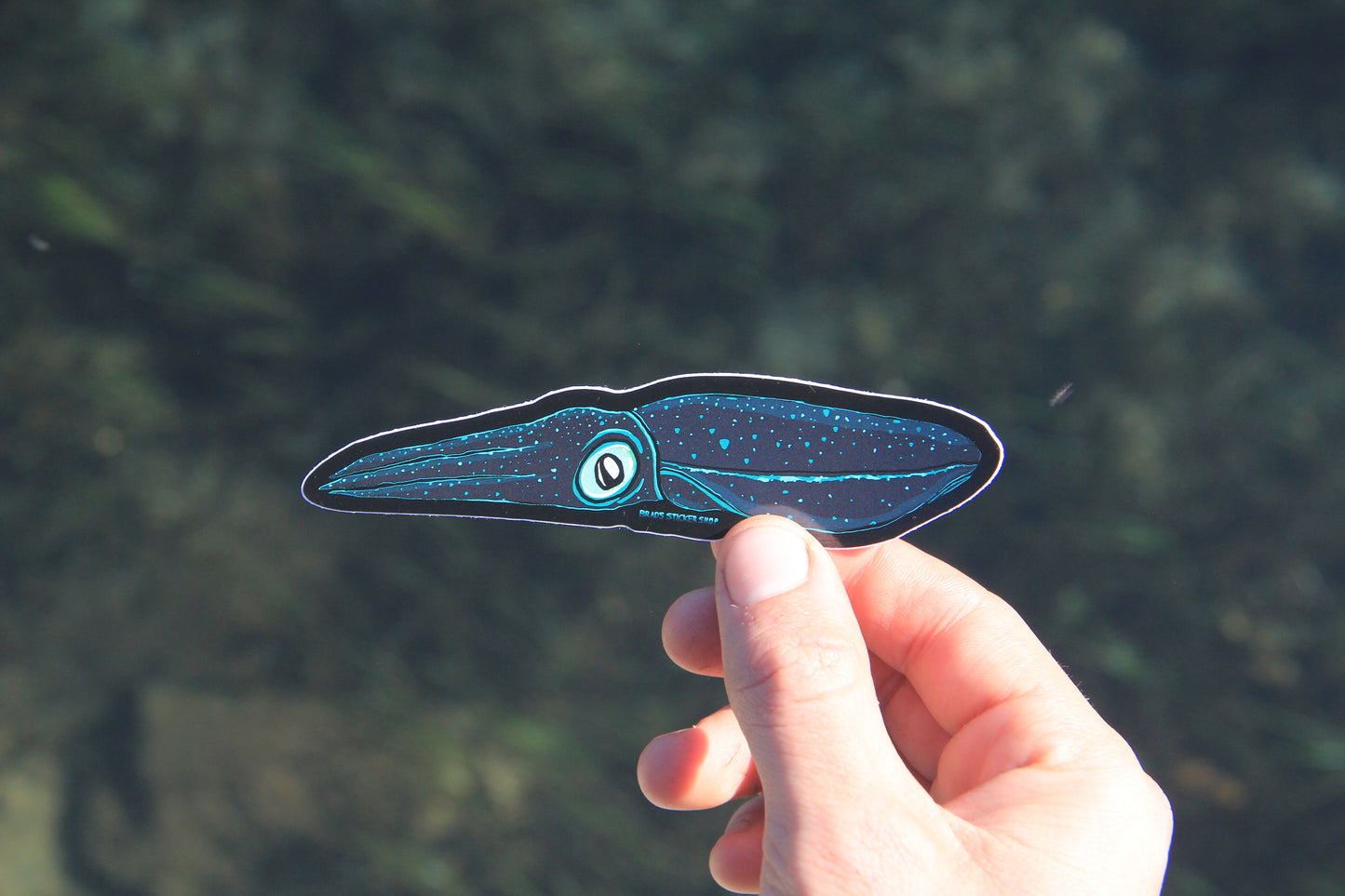 (Sticker 021) Bioluminescence Squid