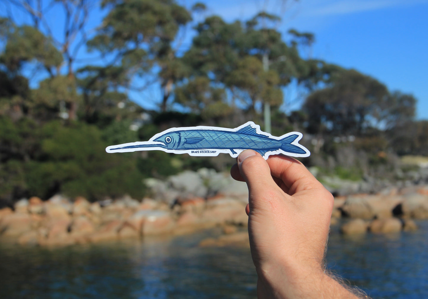 (Sticker 014) Garfish