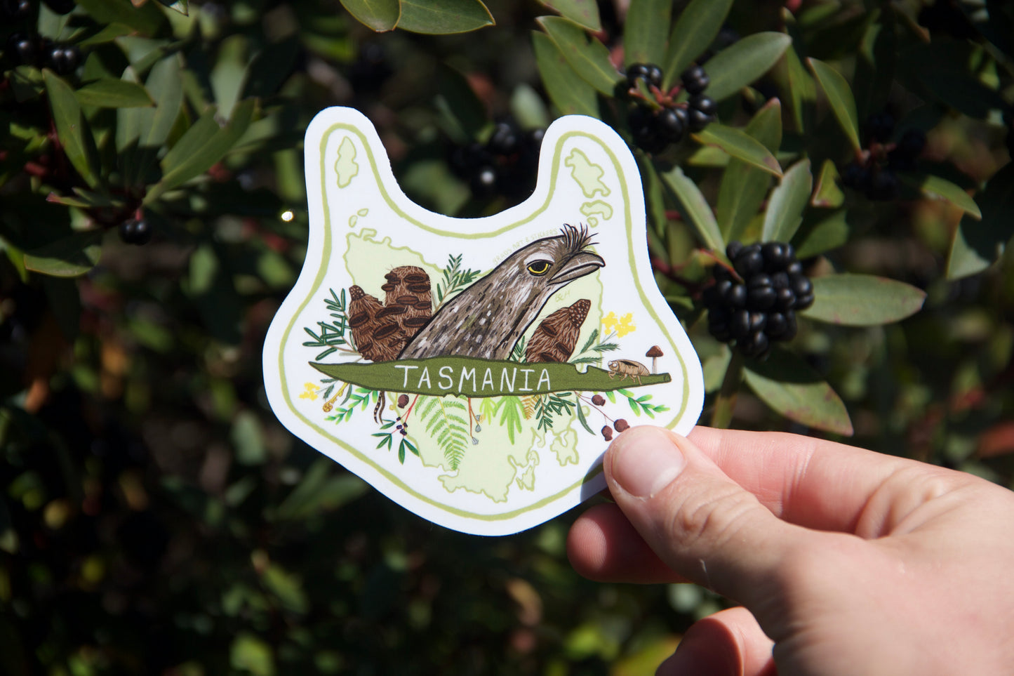 (Sticker 009) Tawny Frog Mouth Tasmania