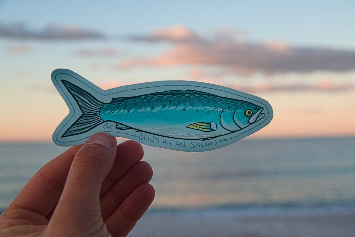 (Sticker 039) Australian Salmon