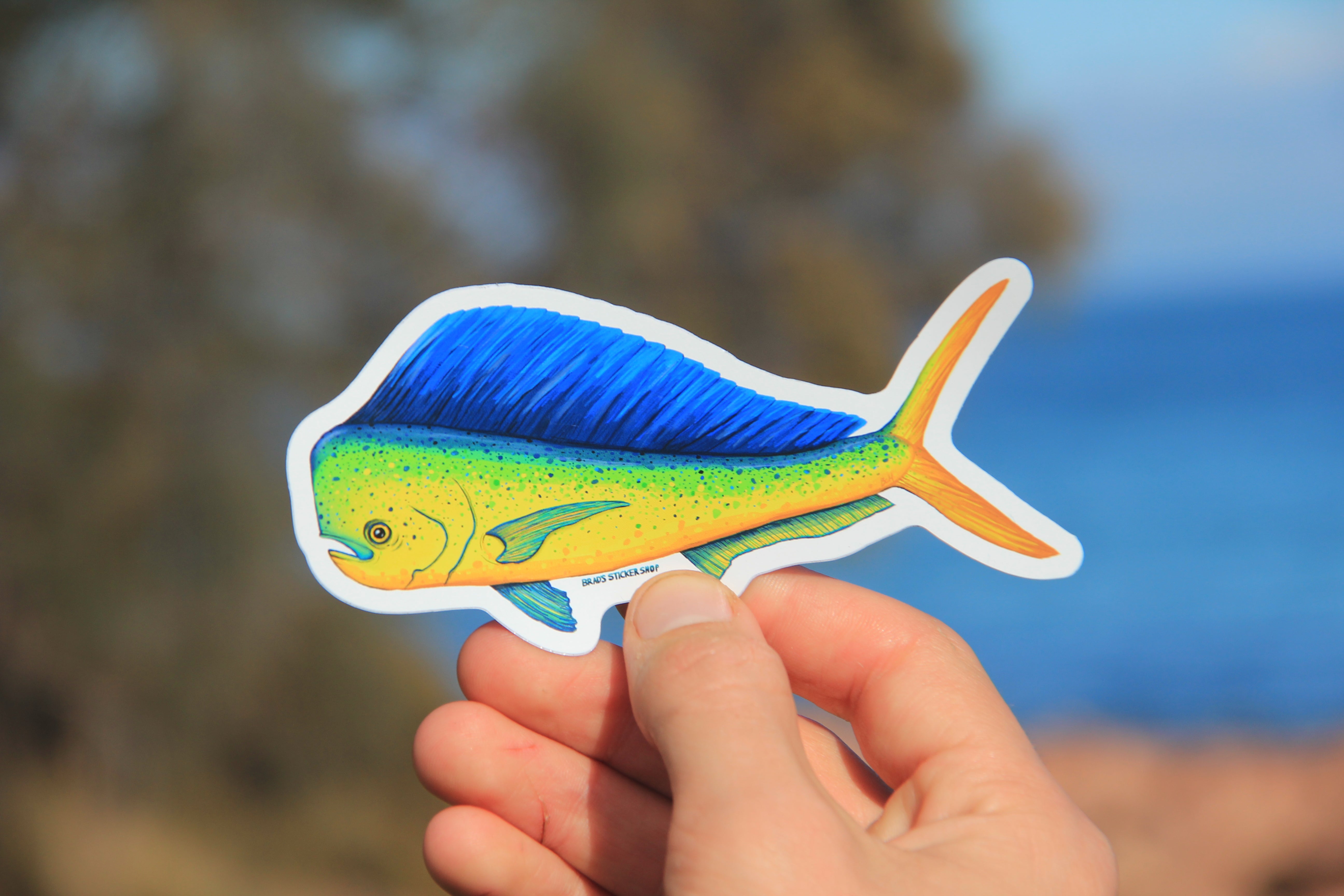 Mahida Sticker (Sticker 019) Mahimahi – Brads Art & Stickers