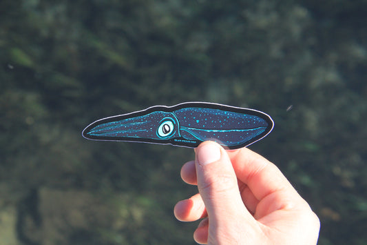 (Sticker 021) Bioluminescence Squid