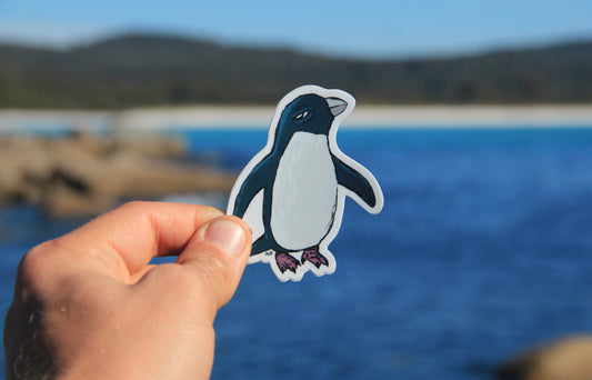 (Sticker 001) Blue Fairy Penguin