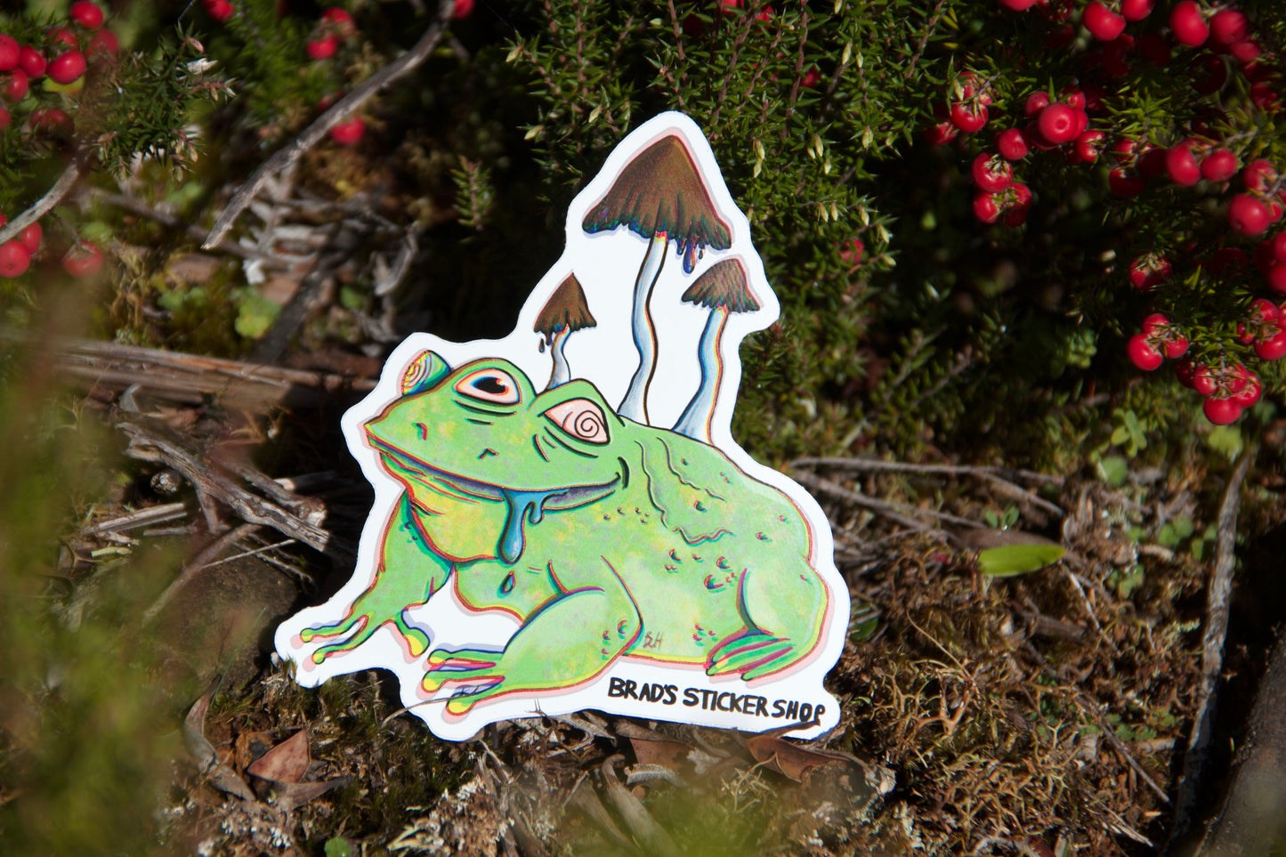 (Sticker 012) Mushroom Toad