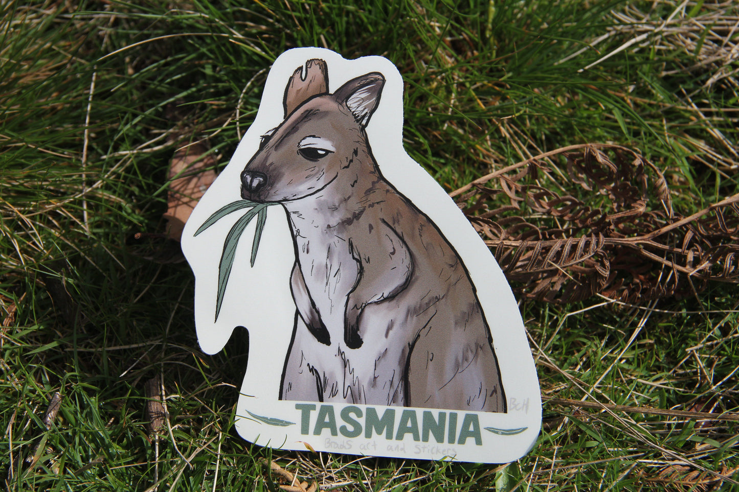 (Sticker 031) Bennett’s Wallaby