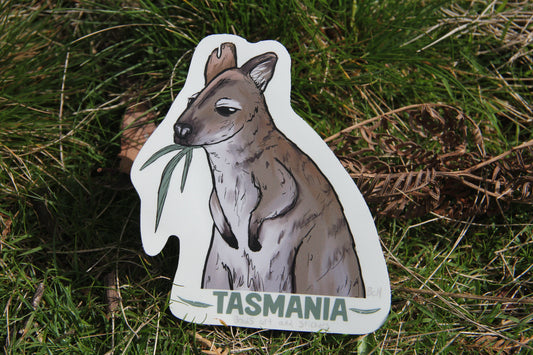 (Sticker 031) Bennett’s Wallaby